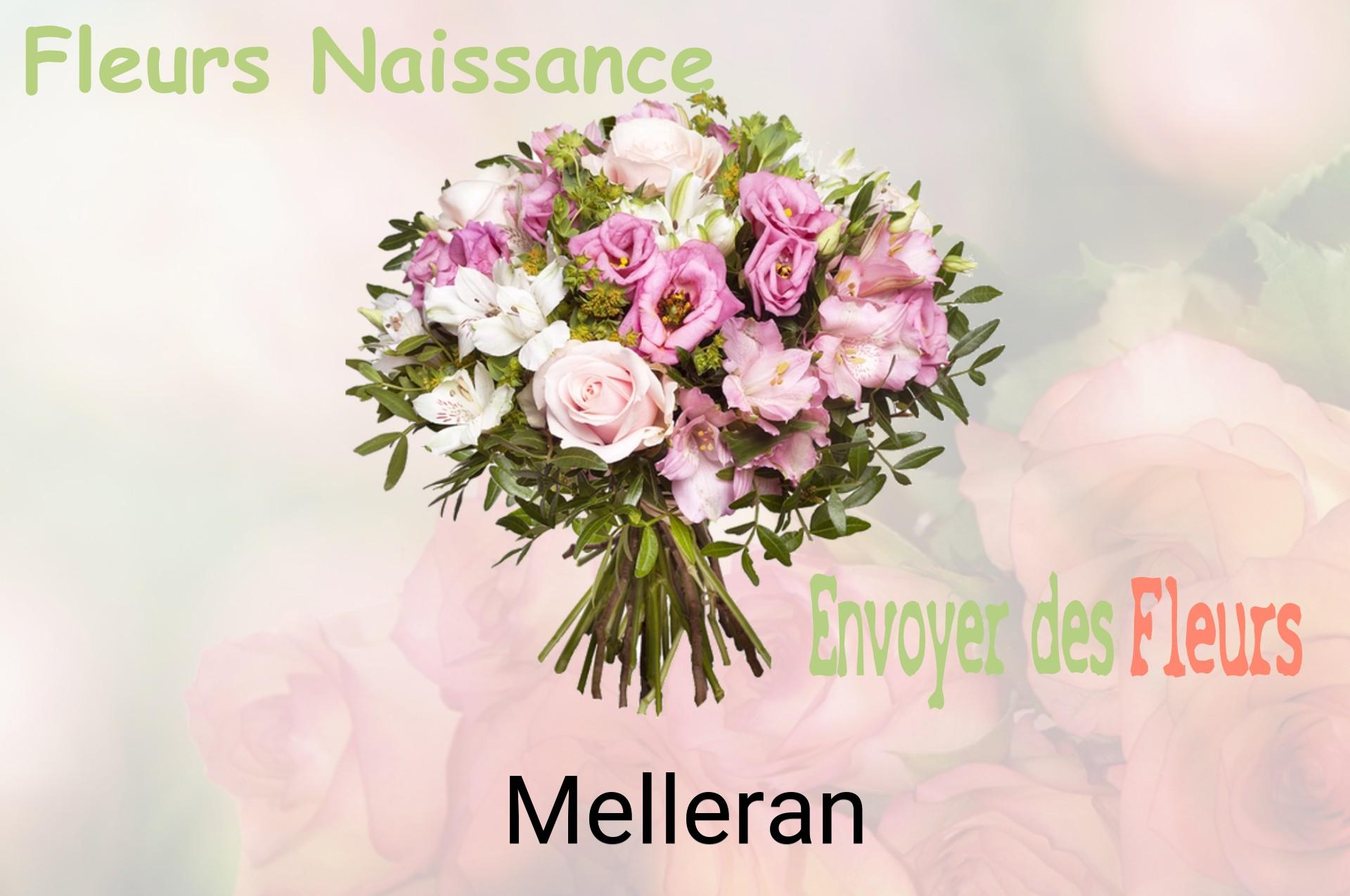Bouquet de fleurs de naissance livré à Melleran