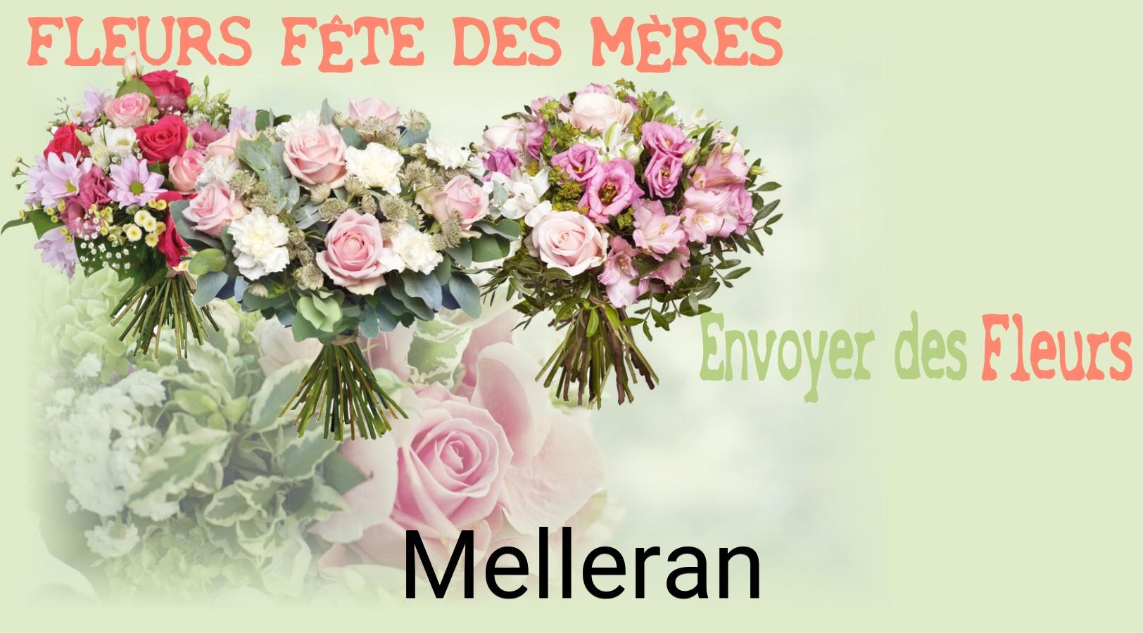 Bouquet de Fête des Mères livré à Melleran